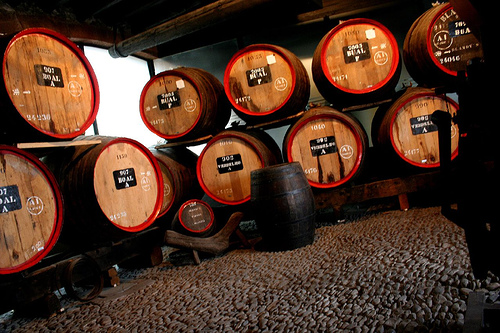 Barels of Madeira wine